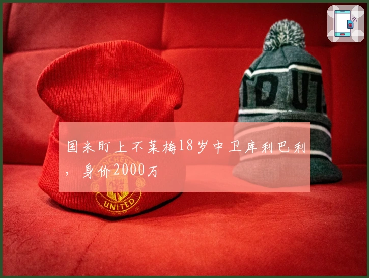 国米盯上不莱梅18岁中卫库利巴利，身价2000万
